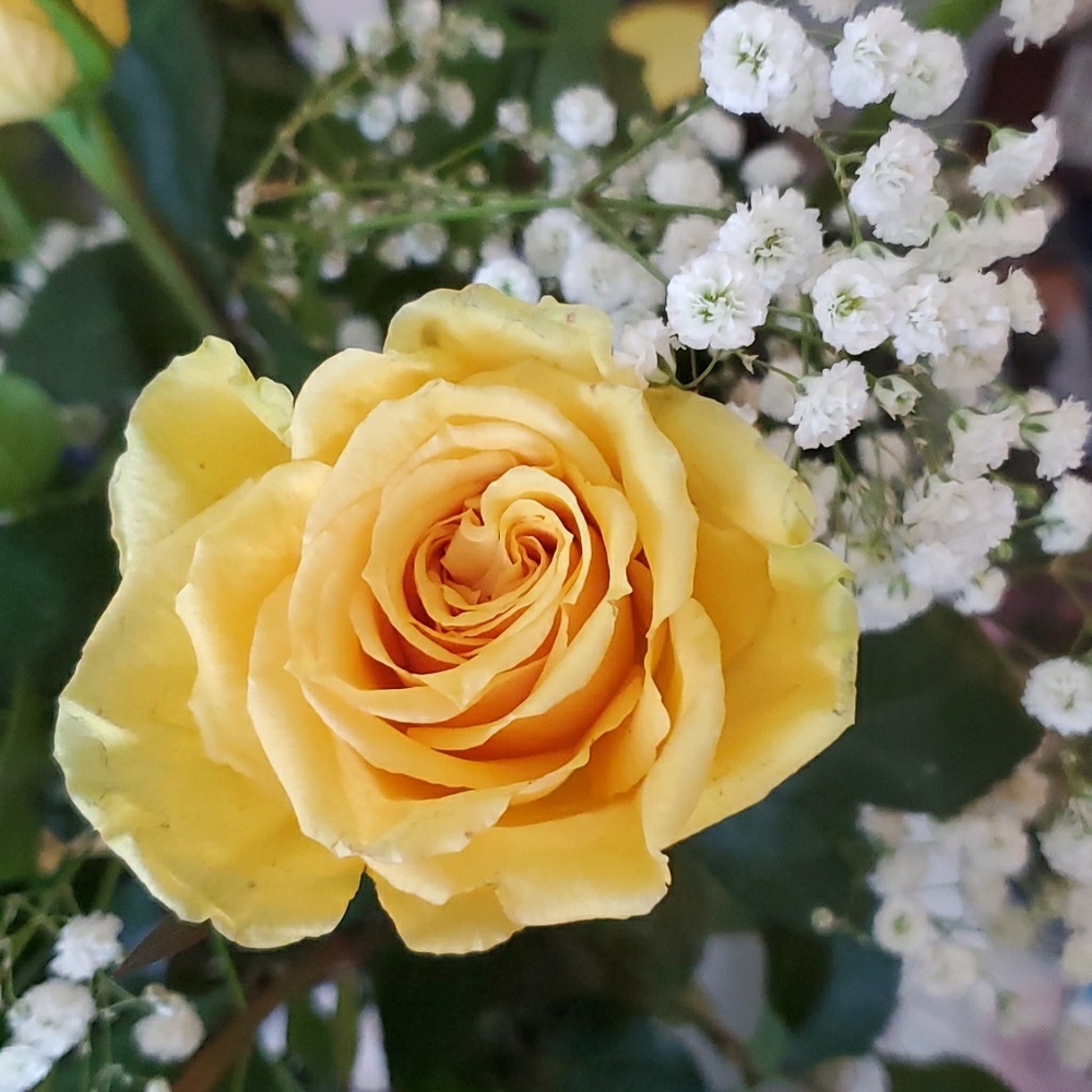 Meet your Posher, Hien